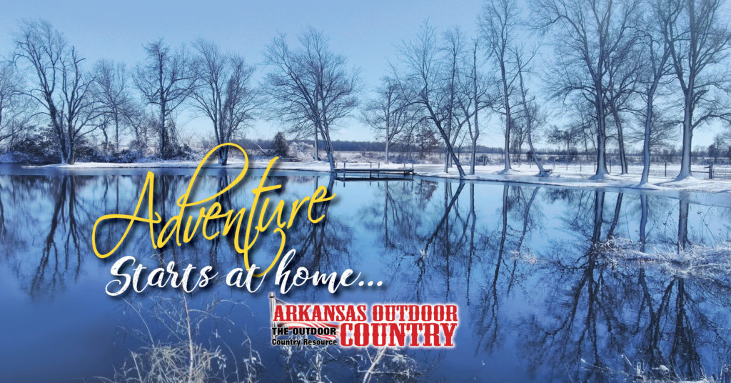This is the link to the latest issue of Arkansas Outdoor Country Winter 2020
