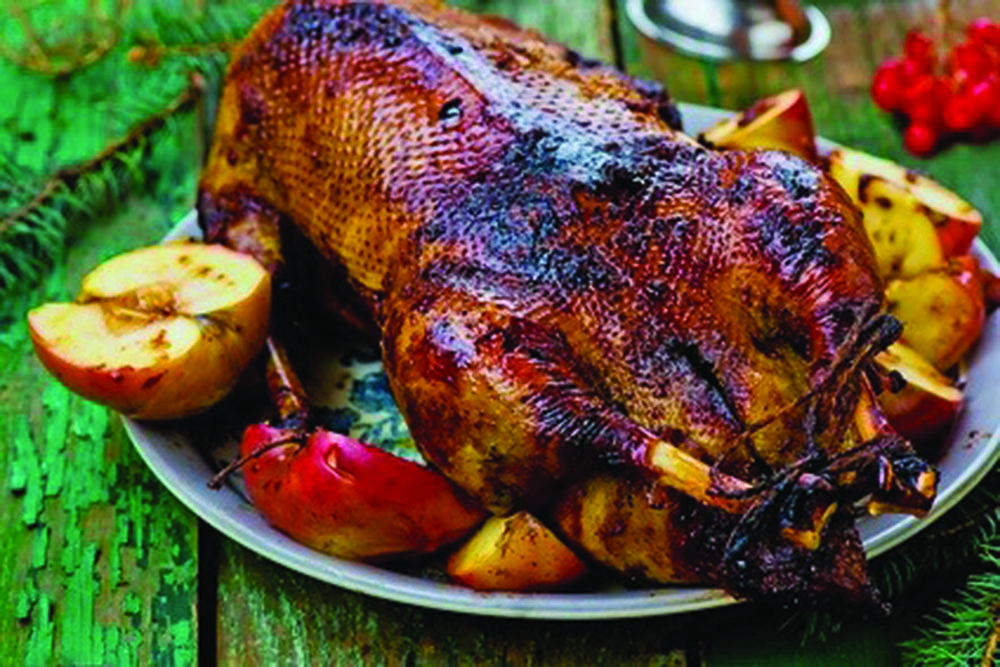 Stuffed Wild Goose