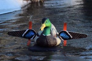 Spinning Decoys Banned on WMA