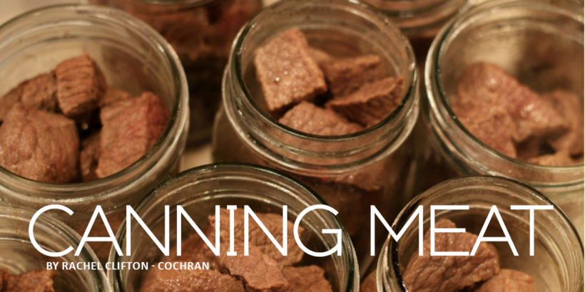 Title for Canning Meat