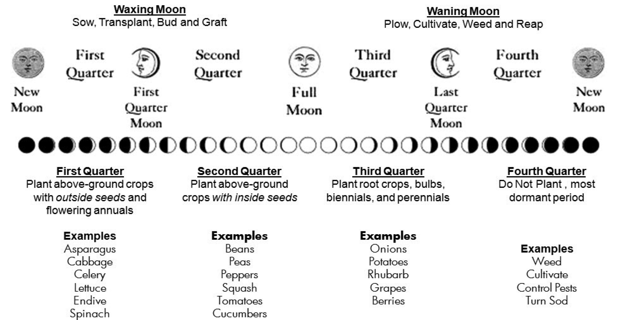 Diagram of Planting by the moon