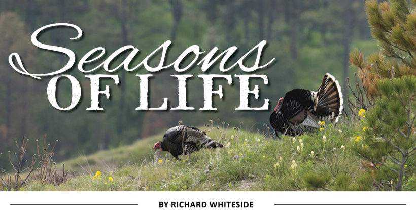 Seasons of Life